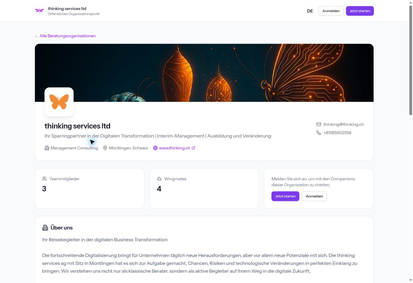 Violet Dragonfly public thinking services organisation profile with team and Wingmate overview
